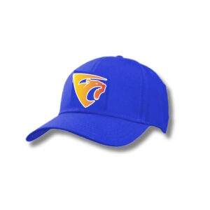 EPL Supporter Caps